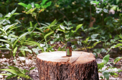 doTERRA terrashield 15 ml ätherische Ölmischung