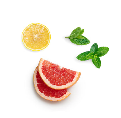 doTERRA arise ätherische Ölmischung was ist enthalten