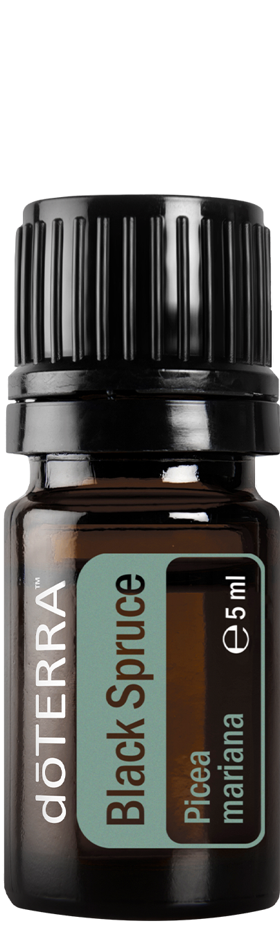 doTERRA kanadai schwarz luc - black spruce ätherisches Öl 5 ml