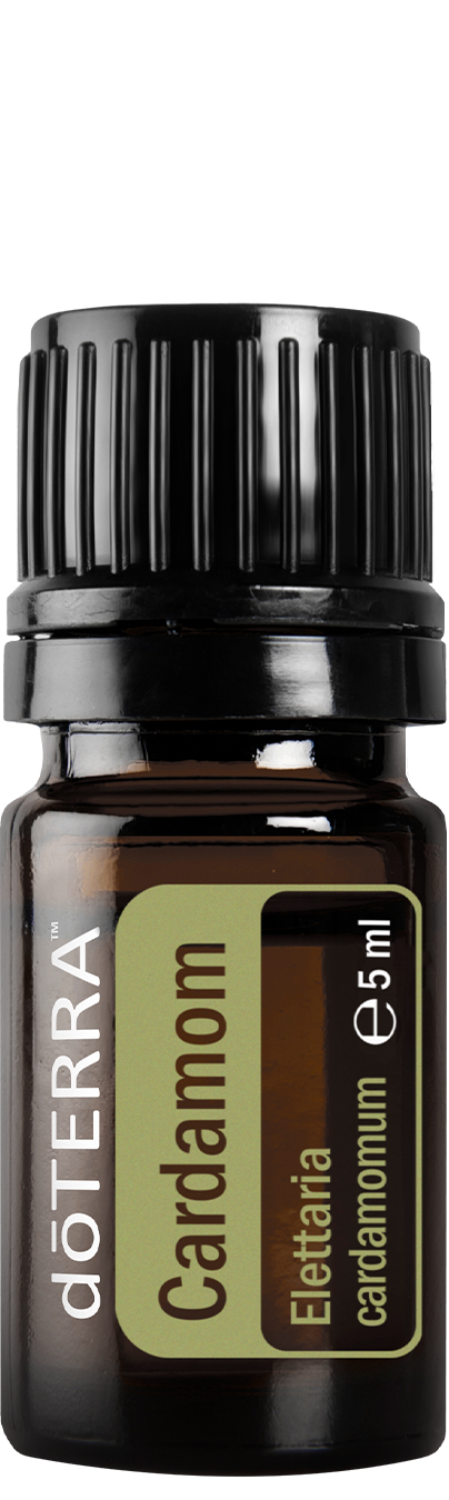 doTERRA kardamom cardamom ätherisches Öl 5 ml