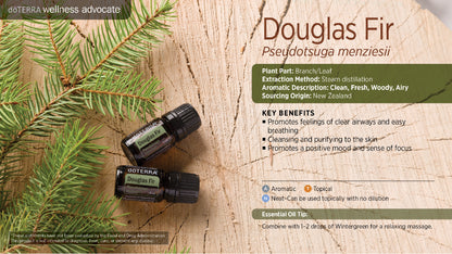 doTERRA Douglasie douglas fir