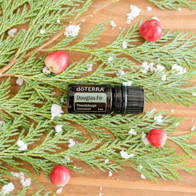 doTERRA Douglasie douglas fir