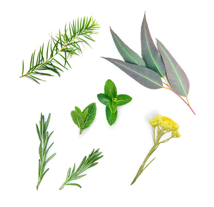 doTERRA deep blue was ist enthalten