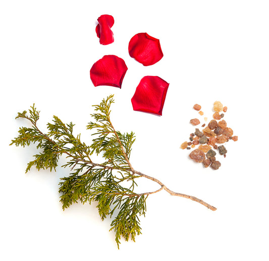 doTERRA stronger was ist enthalten