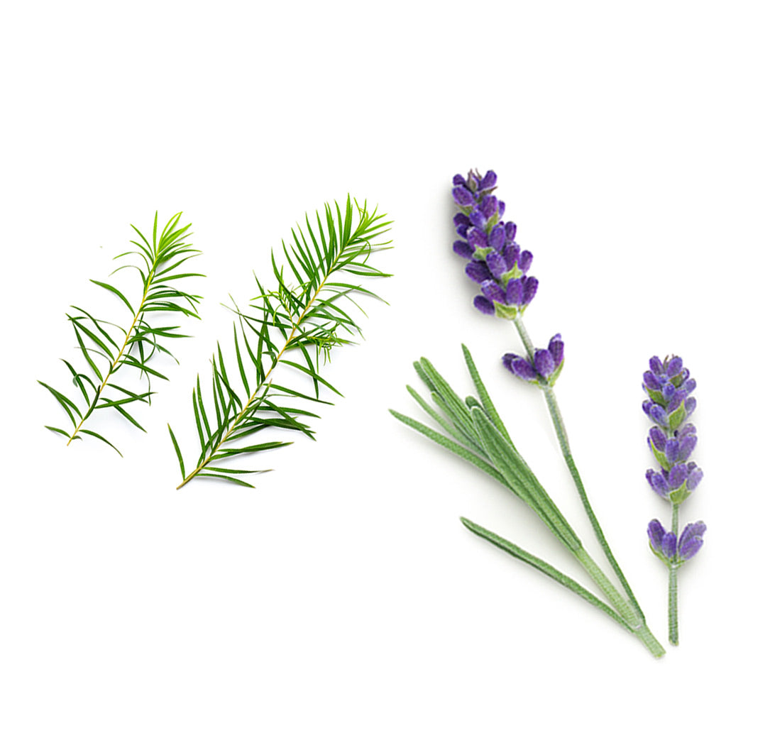 doTERRA baby Wundschutzcreme Inhaltsstoffe