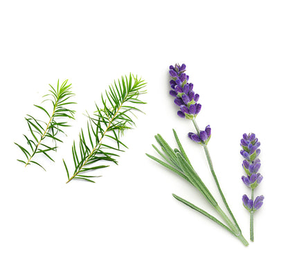 doTERRA baby Wundschutzcreme Inhaltsstoffe