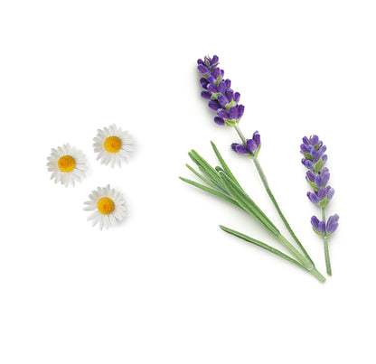 doTERRA Babyshampoo und Duschgel Inhaltsstoffe