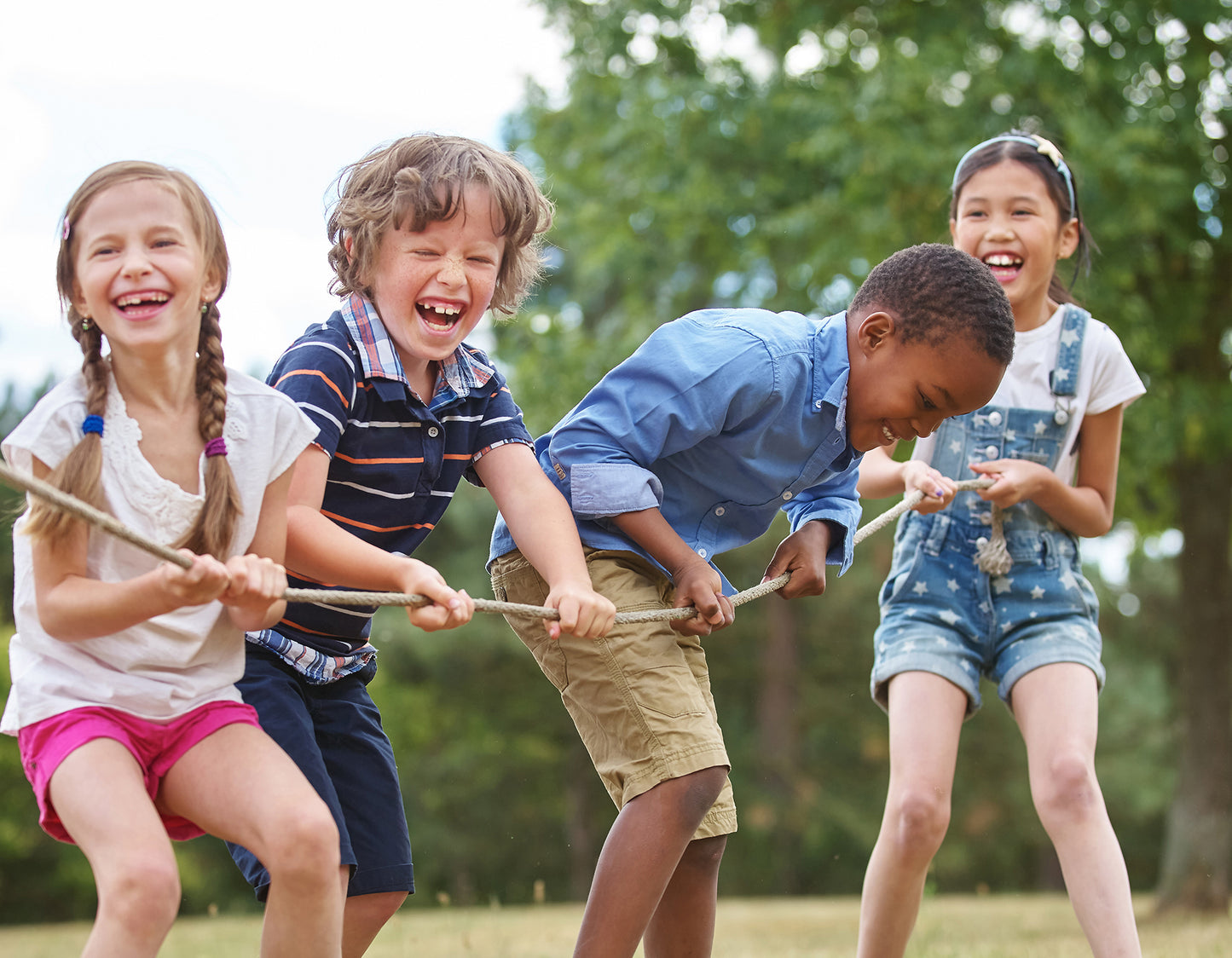 A2Z tabletta und IQ Mega Set