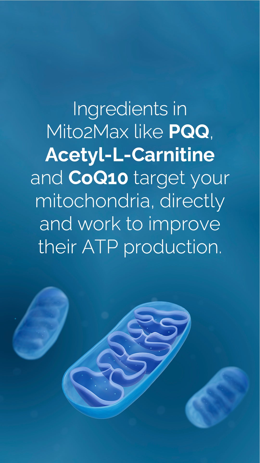 doTERRA MetaPWR Mito2max Pflanzenkapsel
