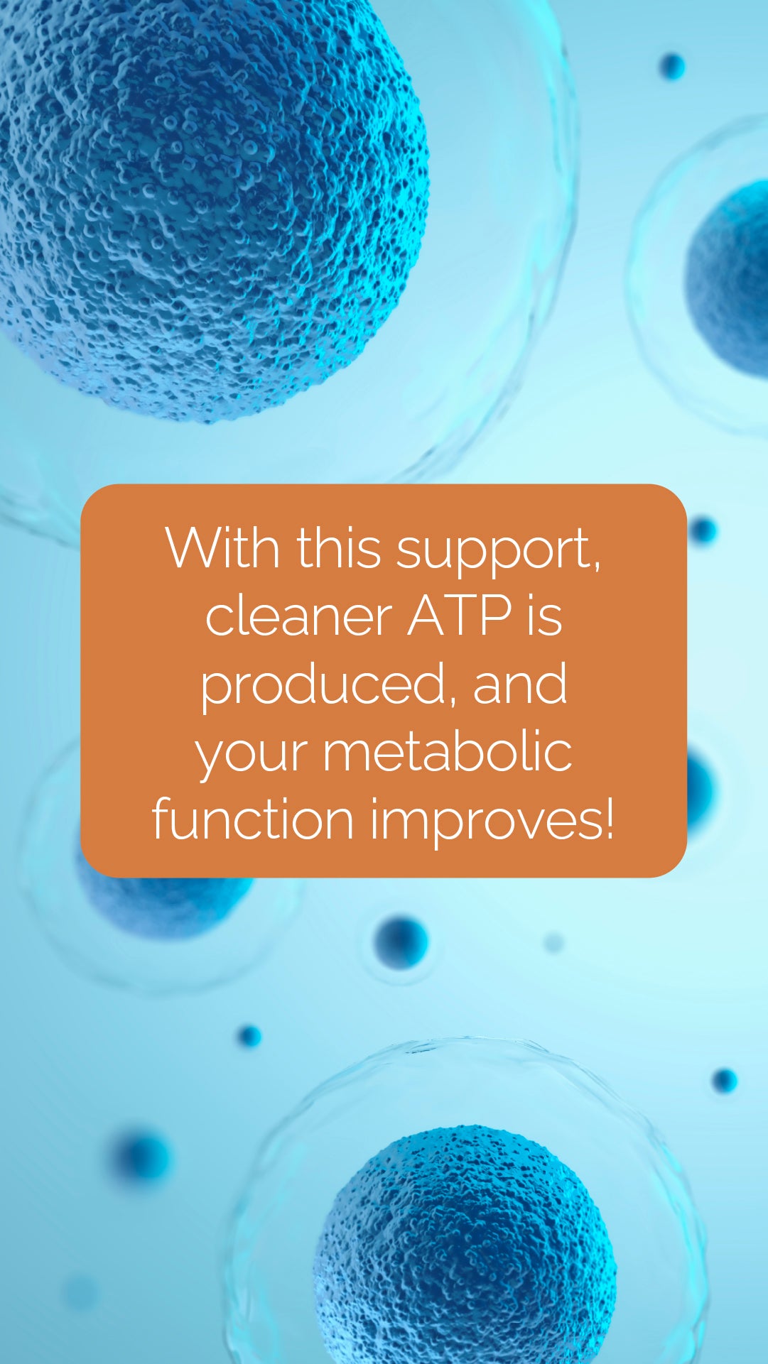 doTERRA MetaPWR Mito2max Pflanzenkapsel