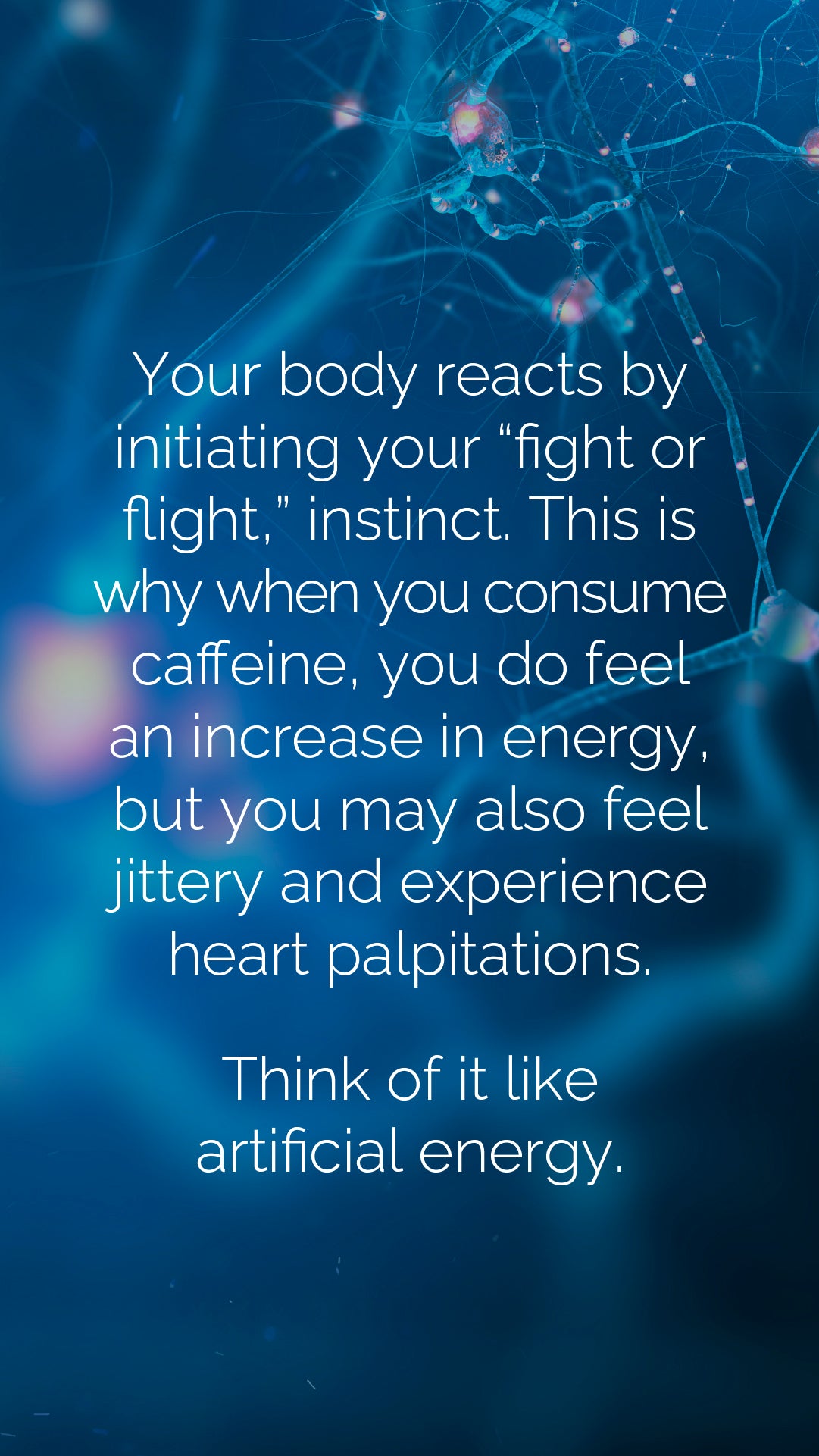 doTERRA MetaPWR Mito2max Pflanzenkapsel