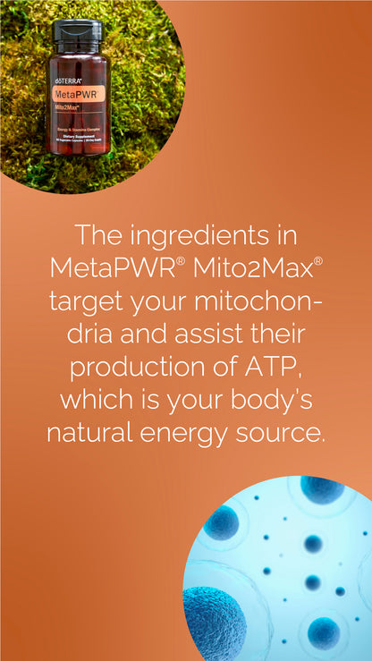 doTERRA MetaPWR Mito2max Pflanzenkapsel