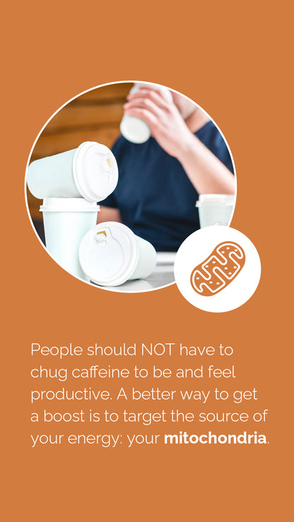 doTERRA MetaPWR Mito2max Pflanzenkapsel