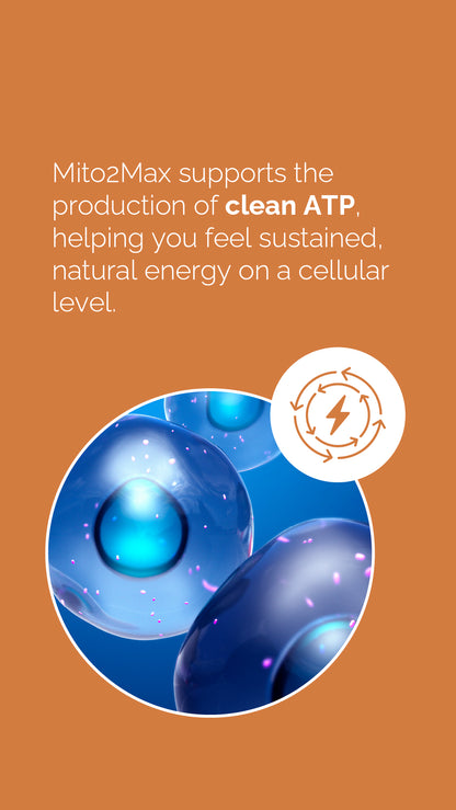 doTERRA MetaPWR Mito2max Pflanzenkapsel